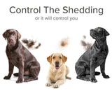 Shed Control Conditioner - Sweet Orange • Coconut Oil